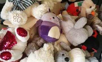 Dziękujemy wszystkim, którzy podarowali nam maskotki