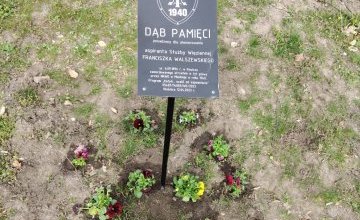 Bratki Pamięci – kwiaty dla Bohaterów