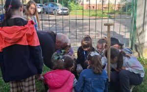 Nowe drzewka w naszej szkole (4)