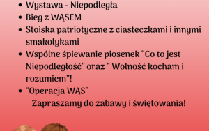 Imieniny Ulicy 11 Listopada z WĄSEM (8)