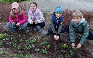 Wzywamy wiosnę (12)