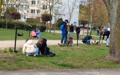 Bratki Pamięci – kwiaty dla Bohaterów (2)