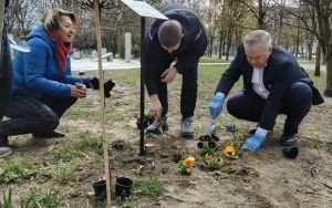 Bratki Pamięci – kwiaty dla Bohaterów (1)