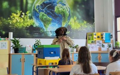 Pszczoły i rośliny miododajne  (4)